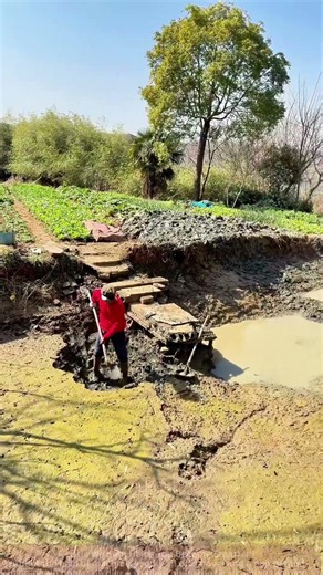 Rural Dredging Scene: Hand-Digging Mud to Restore Pond Clarity
