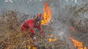 Forest Fire Mitigation; BPPT Sets to Modify Weather in Riau