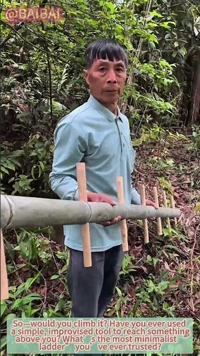One Pole Up: The Barebones Tree Ladder