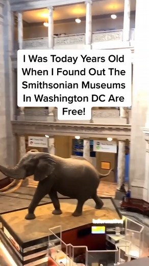 56K views · 668 reactions | Did you know that The Smithsonian Museums in Washington DC are free? They make up the world's largest museum! #washingtondc #visitwashington #visitwashingtondc #travelUS #travelusa | Follow Me Away | Facebook