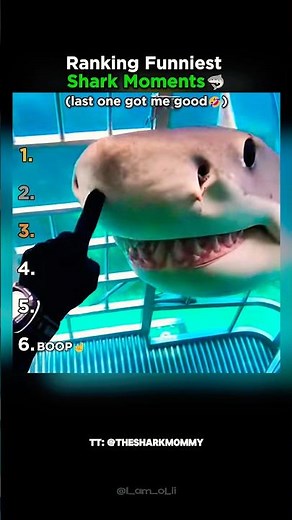 Ranking The Funniest Shark Moments Part 3