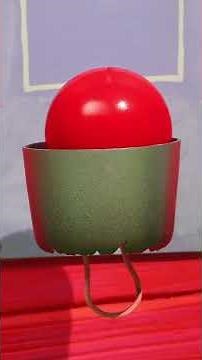 Being reunited with your brand new red balloon 🎈 Timmy Time #shorts