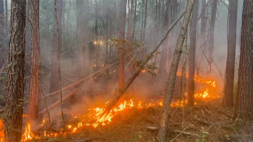 67K views · 632 reactions | SMOKE NOTICE: At 4:25 p.m., Horry County Fire Rescue was dispatched to the area of Liberty Church Road in Loris for a reported outside fire, estimated at approximately two acres in size. Crews are working to fully contain this fire. There are no structures currently threatened. People in the area may see smoke and firefighter response for an extended duration. The South Carolina Forestry Commission is assisting. #HCFR | Horry County Fire Rescue | Facebook