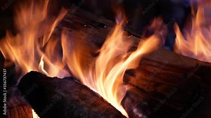 The beech logs burn in the fireplace