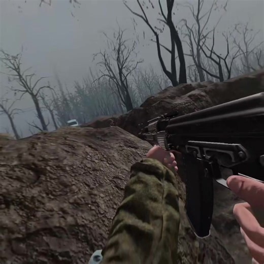 This is just a timeline test #bonelab #fyp #viral #satire #larp | bone lab