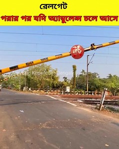 #amazing | Amazing Knowledge Bengali