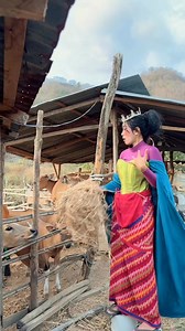 293K views · 10K reactions | Paha capi 2025 | Rima Susanti | Facebook