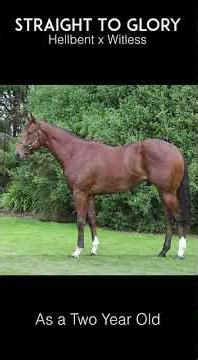 Darryl Anderson reviews the New Zealand-sourced winners in Hong Kong on Wednesday 7th Jan.