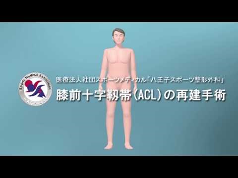 前十字靭帯再建手術（ST）八王子スポーツ整形外科