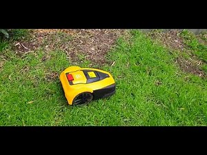 MoeBot automatic electric lawn mower. The way of the future.