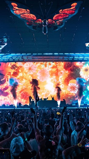 Mathame on Instagram: "All i hear is @tomorrowland 🦋"