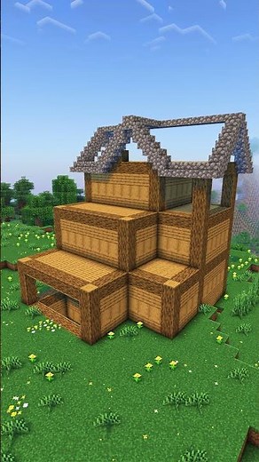 Minecraft Survival House