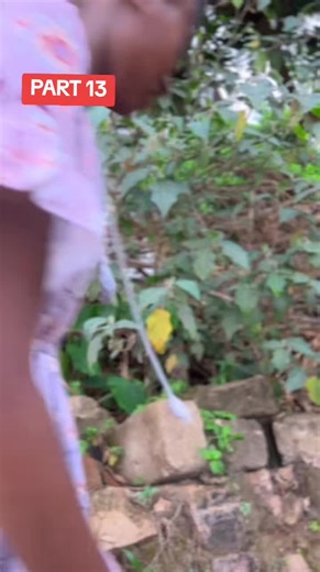 Marriage of Tears: A Heartfelt Drama Unfolds