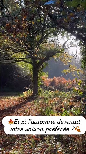 À La Ville Heleuc, l’automne se vit comme un tableau : couleurs dorées, calme et sérénité . Venez respirer la Bretagne autrement #lavilleheleuc #bretagne #bretagnetourisme #naturebretonne #automne | Domaine de La Ville Heleuc | Facebook