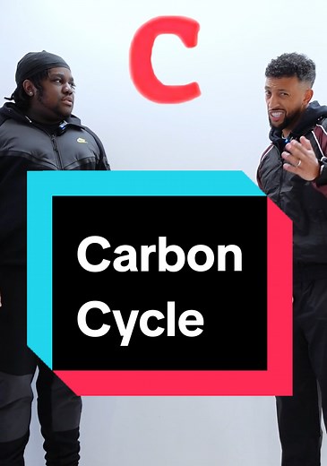 Understanding the Carbon Cycle in Biology