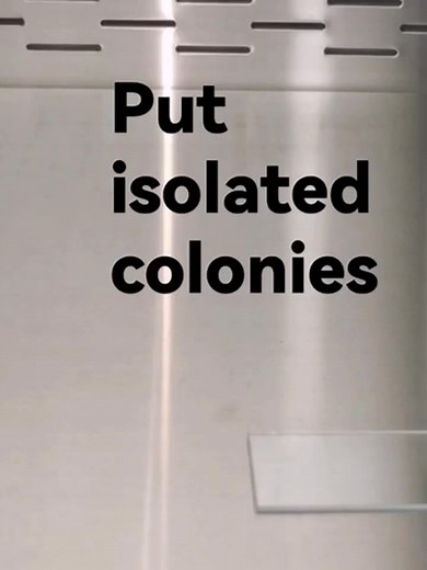 73K views · 890 reactions | Catalase test ❤️❤️. #lablife #microbiology #laboratorymedicine | Lab life | Facebook