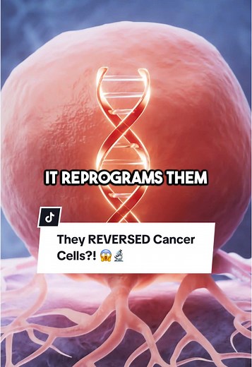 KAIST Discovers Reprogramming for Colon Cancer Cells