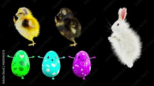 Easter Day, Happy Easter, eggs Dancing, chick and rabbit, 3d rendering, Animation 3d mapping, included in the end of the clip with Alpha matte. Stock Video