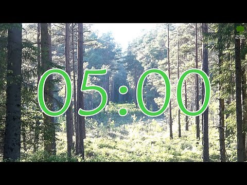 5 Minute Nature Timer with Alarm - Countdown with Relaxing Birdsong - Pine Tree Forest Clearing