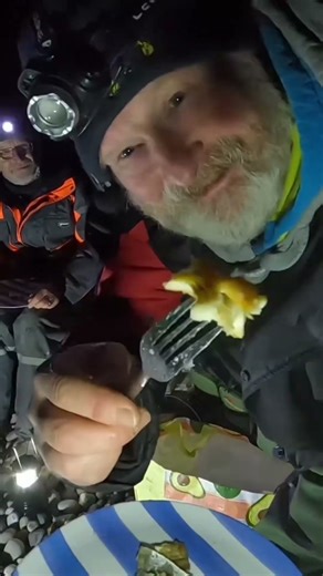 Fishing Inverbervie Beach: FISHnTHINGS: Hunting for Cod 🎣