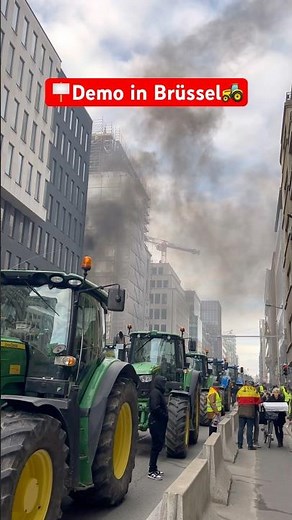 🪧🚜 Farmers are striking against the Mercosur agreement! #farmersprotest #farmersdemo #brussels #f...