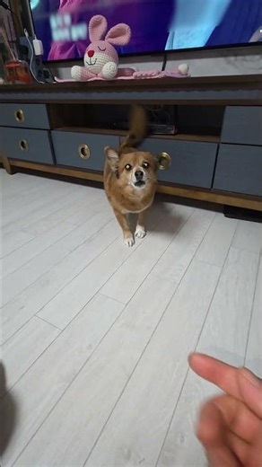 그리운우리딸♡♡♡진주공주