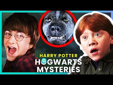 Harry Potter: The Secrets of Hogwarts Explained | OSSA Movies