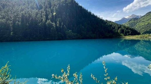 【海棠TF】新作上线，快来看看！