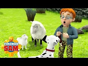 Fireman Sam US Official: Radar Tries to Be a Sheep Dog