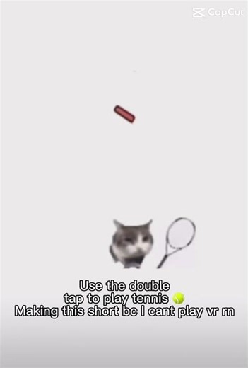 Play tennis no downloading game it’s double tap to play #fun #subscribe #cat #tennis