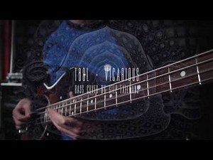 Tool - Vicarious (bass cover)