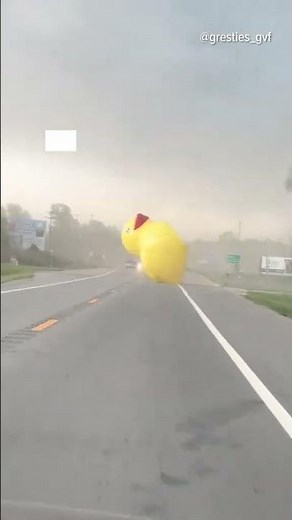 Giant inflatable duck destroyed in windstorm