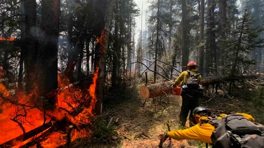 The lightning caused Horse fire is still burning on the Bridger-Teton National Forest in Wyoming | U.S. Forest Service-Bridger-Teton National Forest