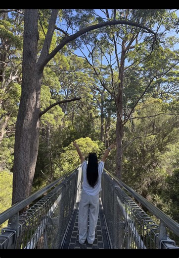 #Day One #fypシ゚viral🖤tiktok☆♡🦋 #❣️❣️❣️ #1millionaudition #Tree Top walk…. Just me, the road, and a sky full of dreams. \t❣️❣️Where the journey is prettier than the destiny❣️❣️