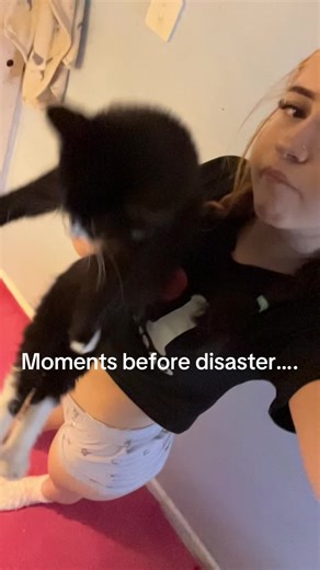 Help with Cat Health Concerns