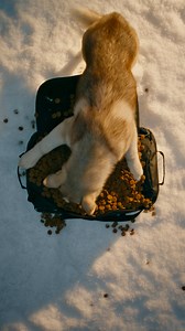 22K views · 323 reactions | The North Face Base Camp Duffel. As big as you need it to be. Discover here: https://shorturl.at/mpiVo #NeverStopExploring | The North Face | Facebook