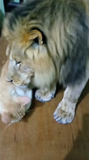 18 de diciembre de 2025