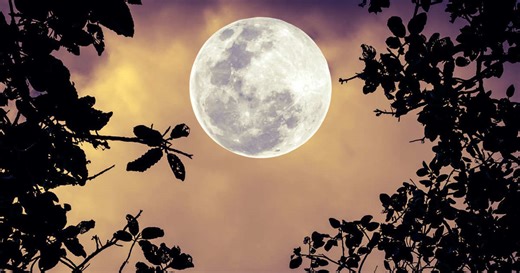 Calendario lunar de abril 2026: fases de la luna, corte de pelo y depilación