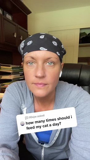 Cat Feeding Guide: How Often to Feed Your Feline Friend