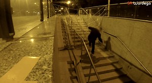 Giant Mutant Spider Dog Cute Scary Prank | The Mary Sue