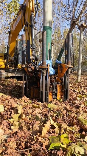 Professional nursery tree digging tool saves time and effort and is highly efficient #