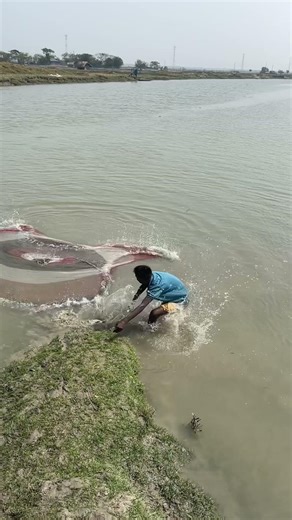 Amazing hood fish caught #reel #amazingfishing #fishingmethod #fish