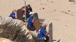 15K views · 359 reactions | WATCH: A sea lion was spotted with some sort of trauma to its back flipper in Avila Beach, marine wildlife crews approached it slowly using shields to obscure their shapes and serve as protection during the rescue. READ MORE: https://bit.ly/3scF1xX | FOX26 | Facebook
