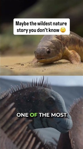Maybe the Wildest Nature Story You Don't Know