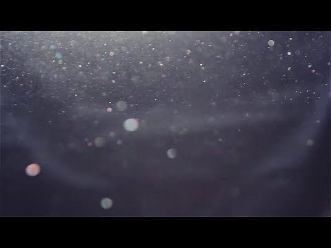 10 Minutes of 4K Organic Dust Particles On Black Background - Overlay