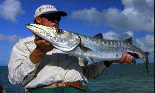 It's time to journey back to a pivotal moment in fishing history that profoundly affected many lives. We're kicking it off with Season 5, the year Addictive Fishing Television first aired nationally on the Outdoor Life Network. This was the moment childhood friends, Captain Blair Wiggins and Producerman Kevin McCabe, embarked on a mission to inject excitement into what was then lackluster television—and they succeeded spectacularly. Join us each week, right here on Facebook, as we rewind the clo