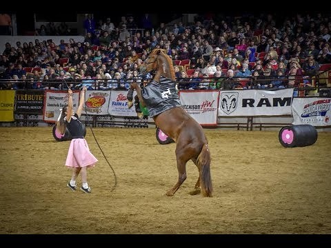 Kimber's 90 Day Mustang Makeover Journey