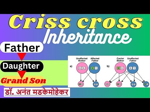 Criss Cross Inheritance | Genetics