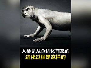 从一颗细胞到恐龙再到人类，一口气带你看完人类祖先从鱼进化到人的历程