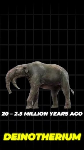 How Elephants Evolved #shorts